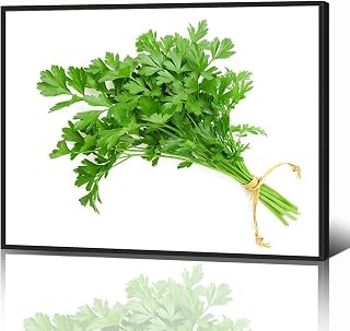 Parsley bunch Black Framed Canvas Wall Art for Living Room Bedroom Kitchen Bathroom Prints Pictures Wall Decor Posters Painting Artwork 12x16