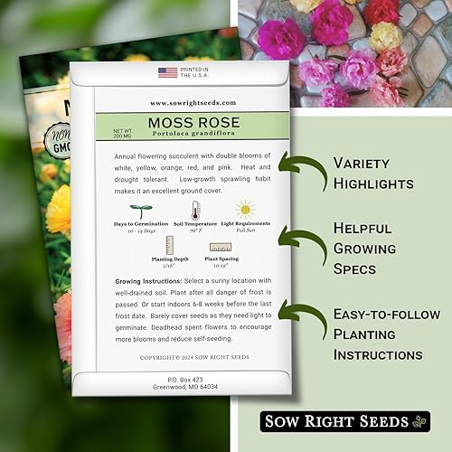 Miniatura 2 de Sow Right Seeds - Semillas de rosa musgo para plantar - Mezcla Portulaca Grandiflora - Verdolaga doble - Variedad de reliquia sin OMG - Fácil de