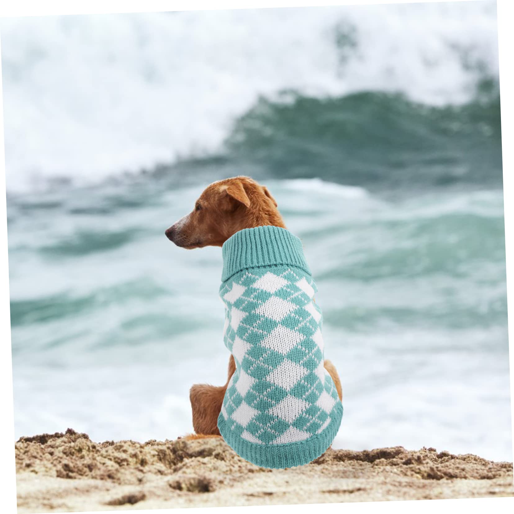 Sosoport 3stücke Hundepullover Für Kleine Hunde Klassischer Warmer Strickpullover Für Kühle Tage Bequeme Atmungsaktive Kleidung Für Haustiere Für Welpen Und Mittelgroße Hunde Für