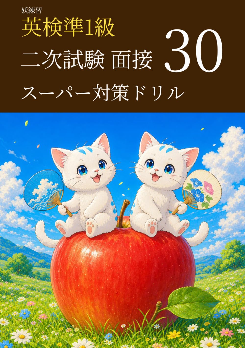 妖練習 英検準1級 二次試験 面接 スーパー対策ドリル 30 (英検準1級マスターシリーズ)