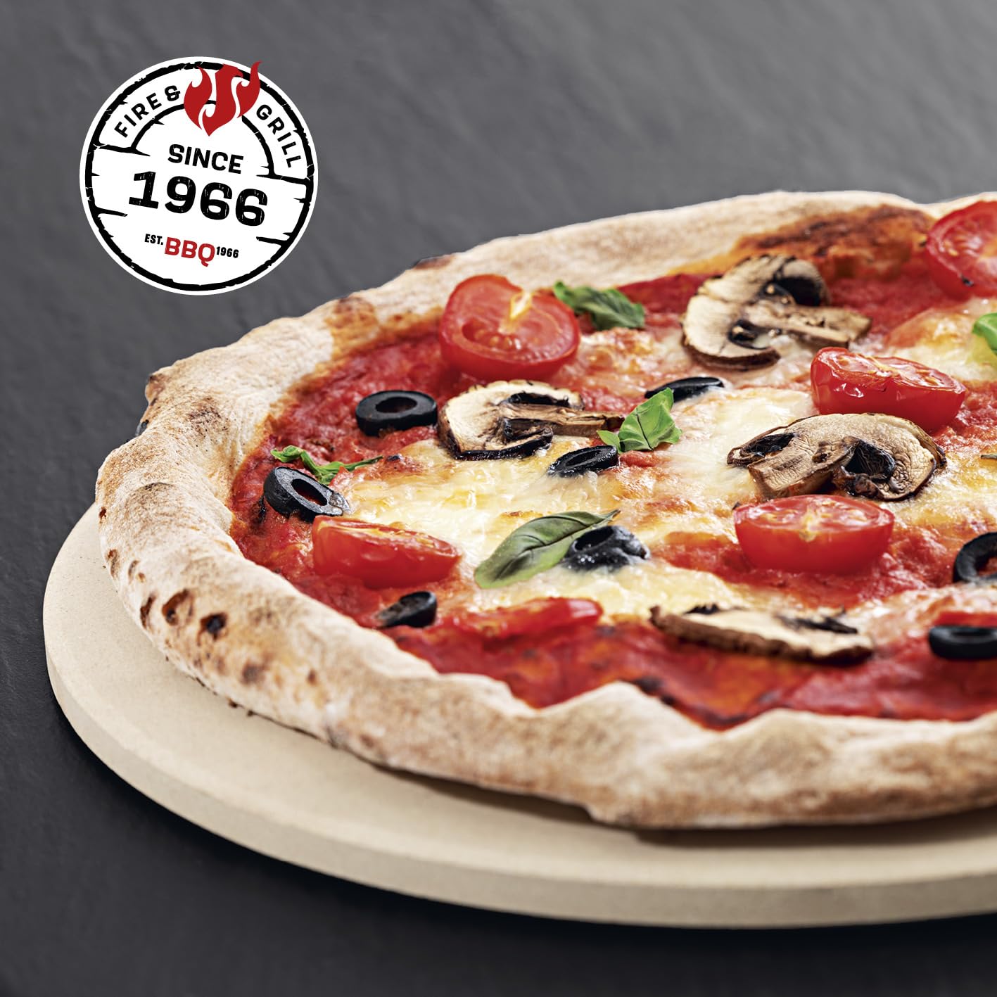 LANDMANN | Barbecue à gaz 2 en 1 avec support à pizza et grille en fonte | Pour pizza et aliments à griller | 2 brûleurs en acier inoxydable | Pierre à pizza (environ Ø 29 cm) | 2-3 personnes |