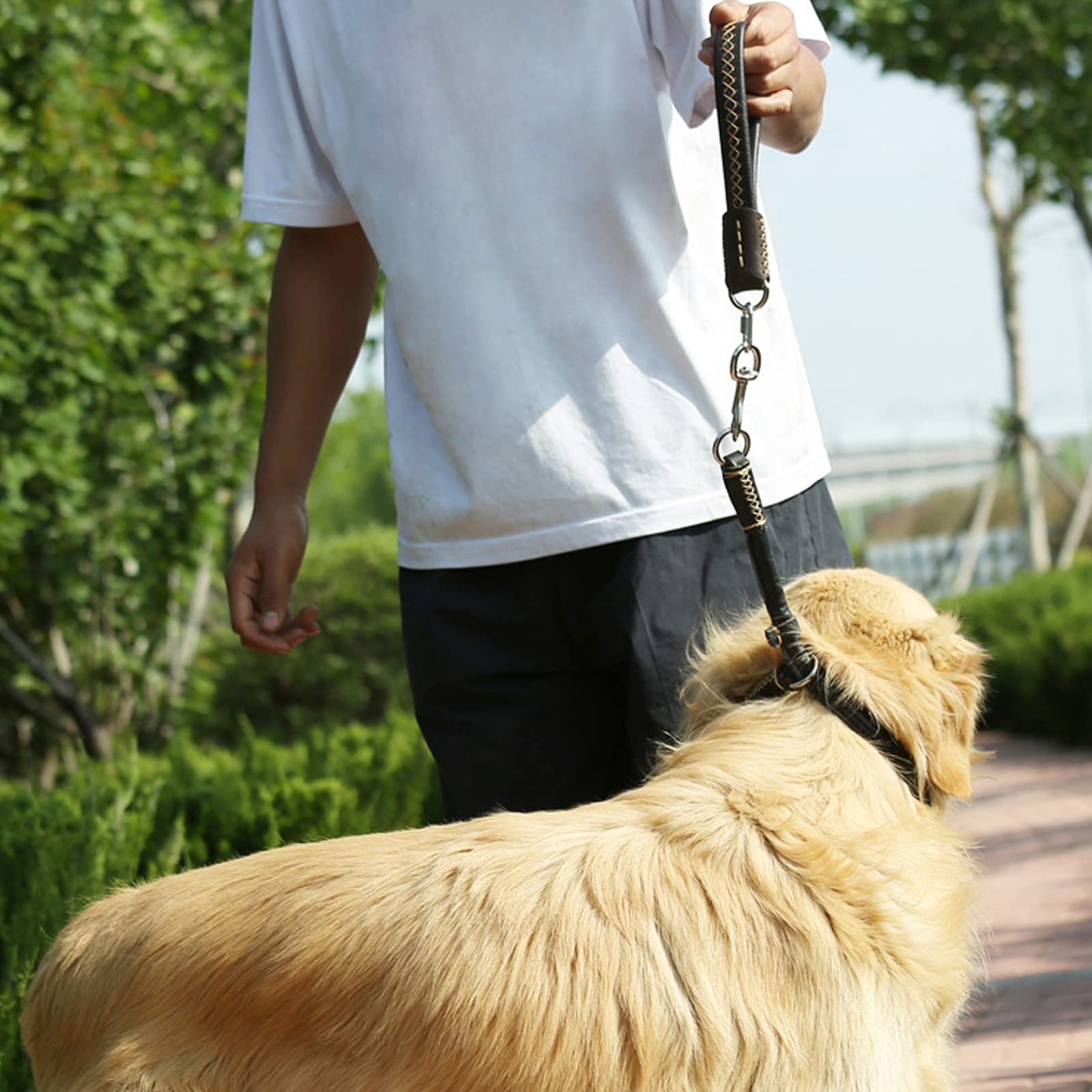 Amazon | ヘビーデューティショート犬リードソフトハンドルレザー犬