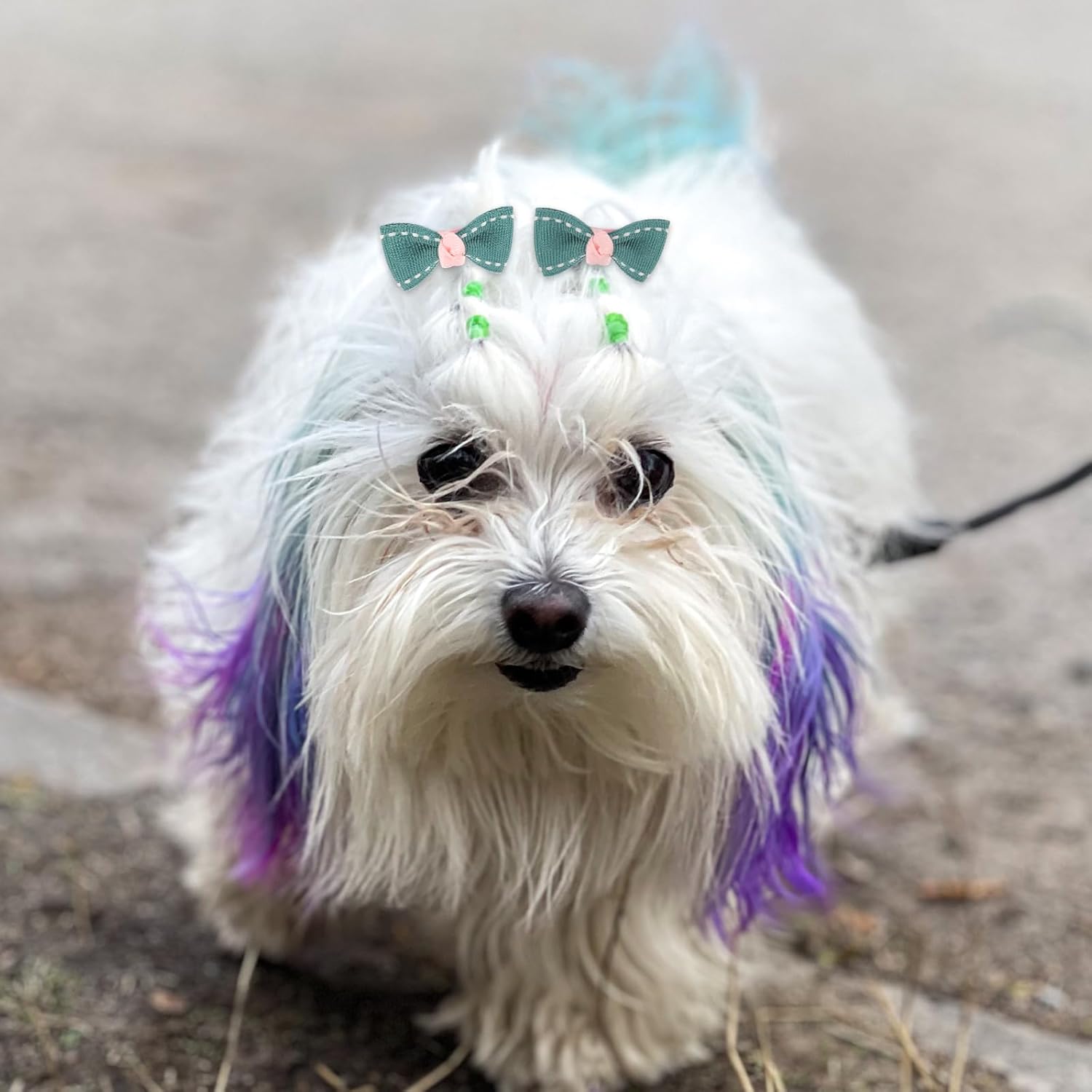 10 Pcs Small Dog Hair Clips Dog Hair Bows Puppy Hair Pins Pet Hair Accessories Puppy Crown Accessories 6