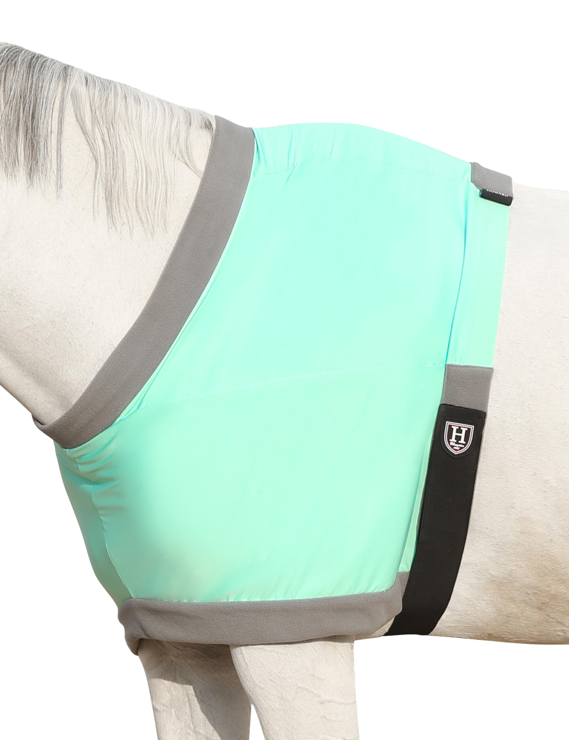 Protector de pecho para caballo transpirable de verano L menta