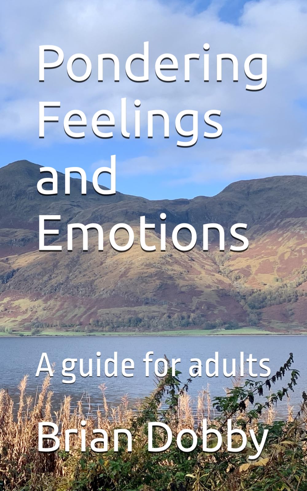 Pondering Feelings and Emotions: A guide for adults