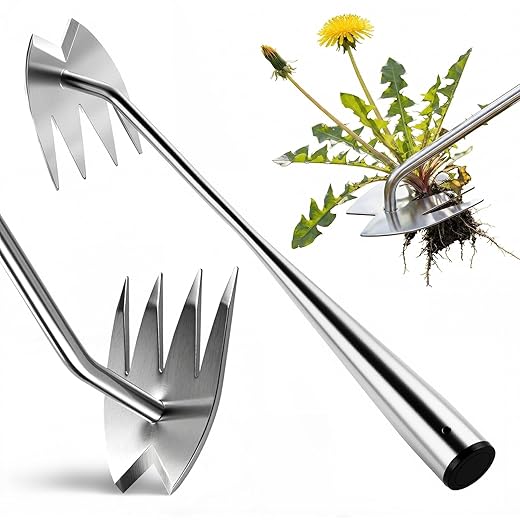 Upgraded Weed Puller Tool, 4-Tooth Stainless Steel Manual Weeder, Garden Weed Remover Tool for Vegetable Gardening Backyard Farm Planting & Weeding