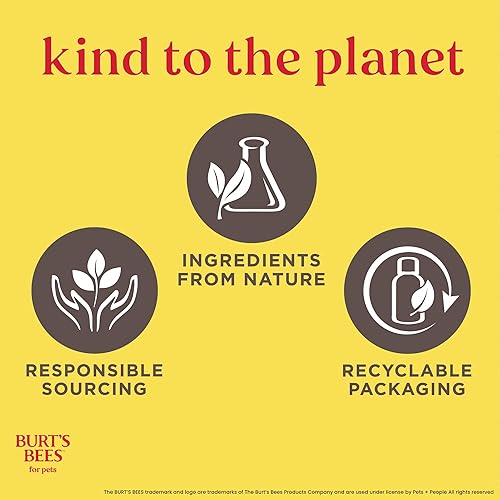 Miniatura 7 de Burt's Bees for Pets Champú y acondicionador de vainilla de coco - Champú y acondicionador para perros 2 en 1 con 98.2% de ingredientes derivados