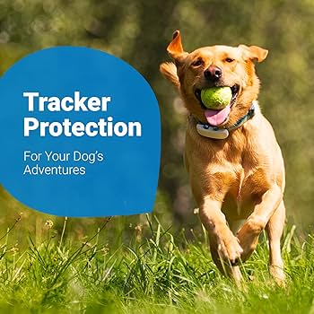 首輪・ハーネス・リード Tractive GPS Tracker for Dogs Tractive Dog GPS Tracker, Waterproof Location and Activity