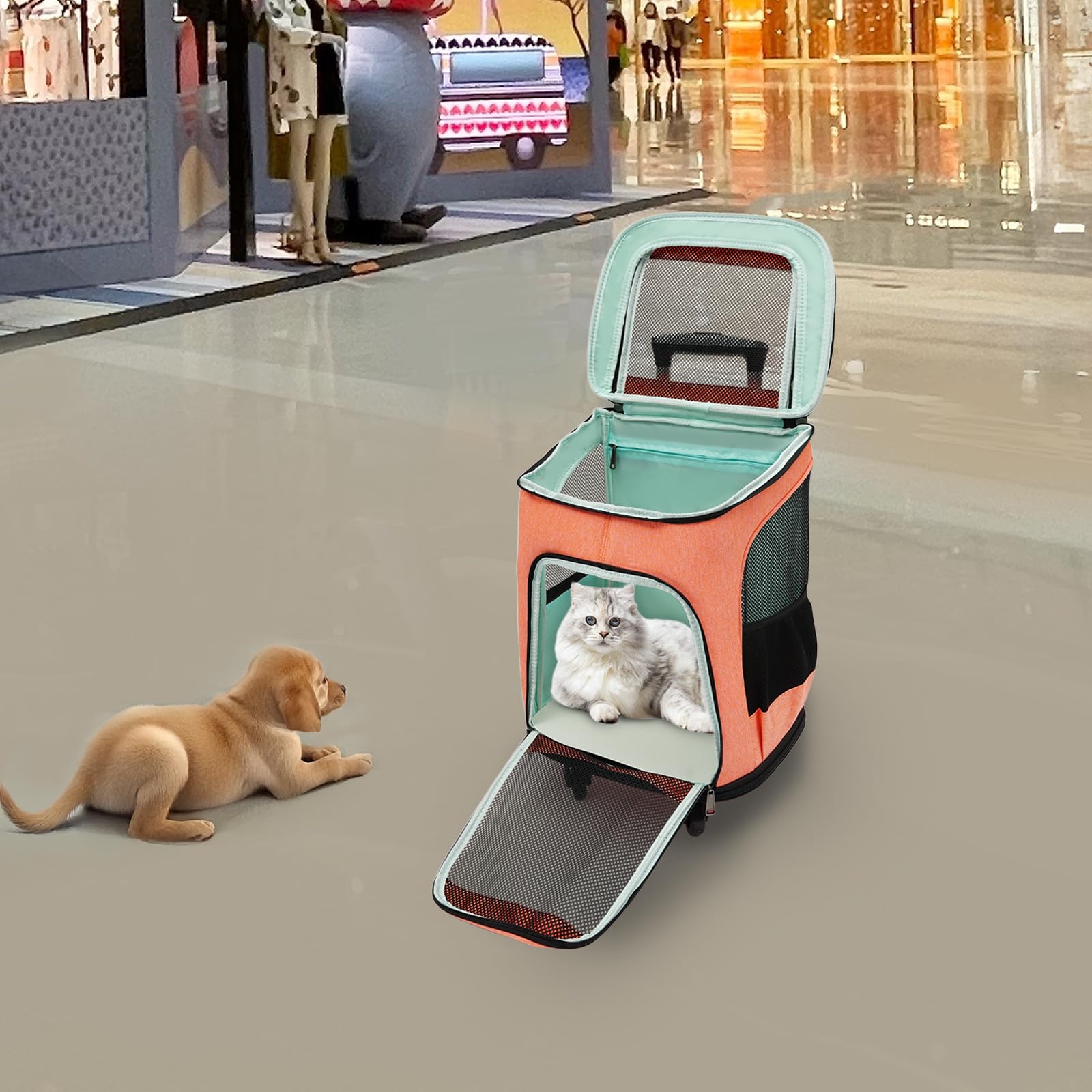 Transportín para perros con ruedas, plegable, mochila para gatos con mango telescópico, cajas de transporte para gatos grandes y perros pequeños con malla transpirable, mochila para mascotas de hasta