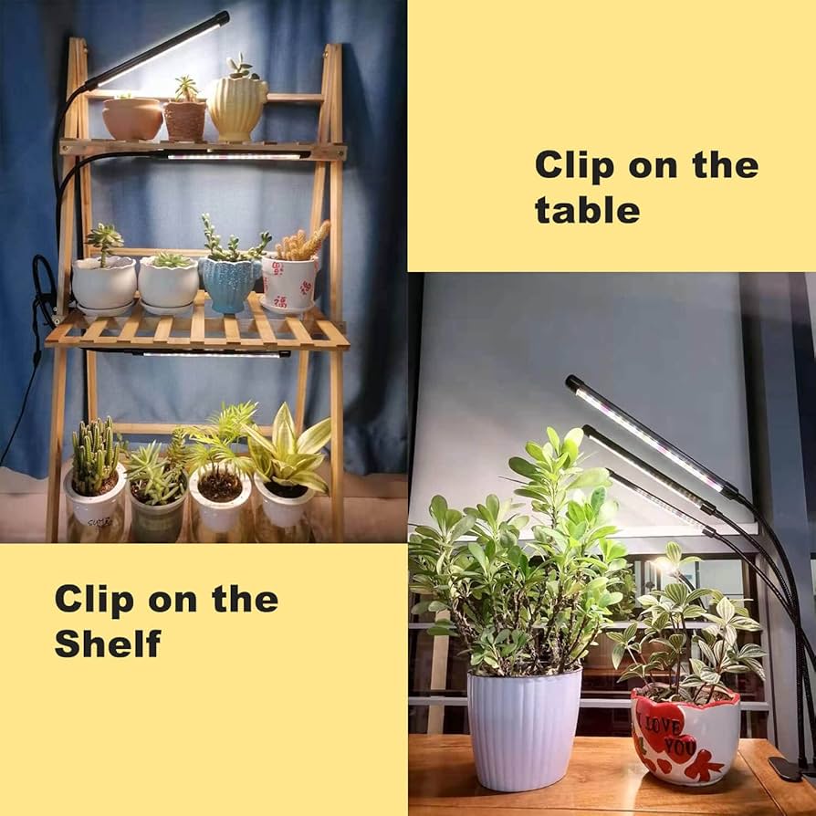 71PMxA7GqmL._AC_UF894,