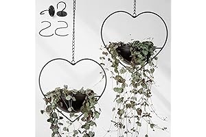 Hajia Heart Shaped Hanging Plant Holder with 6inch Detachable Pot