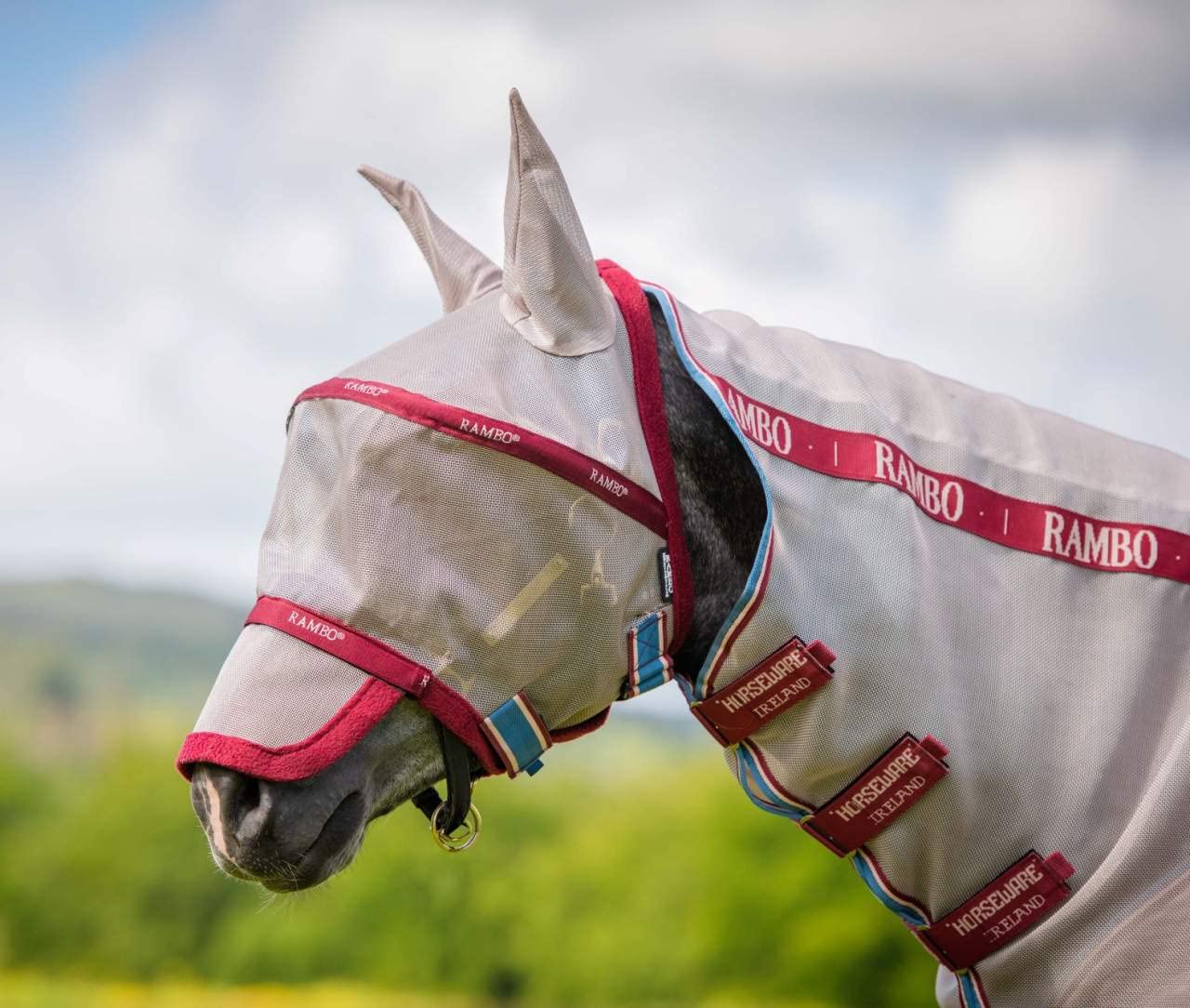 AMIGO Fine Mesh with Ears Fly Mask