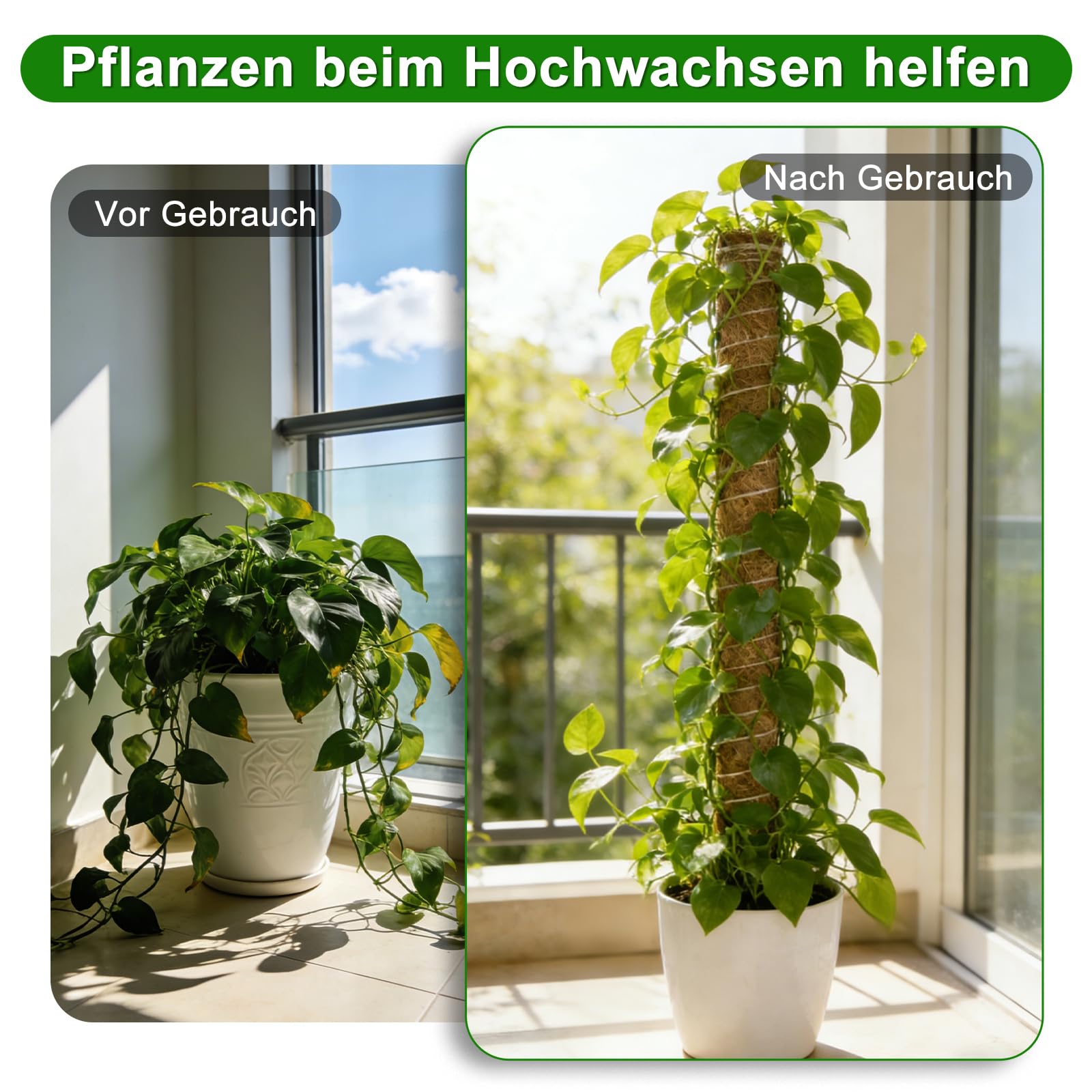 HOVIN Soporte trepador para Monstera de coco – 4 tutores extensibles de musgo, 40 cm – Para plantas trepadoras en interiores y jardines