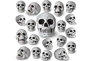 20 Pack Spooky Halloween Skull Decorations