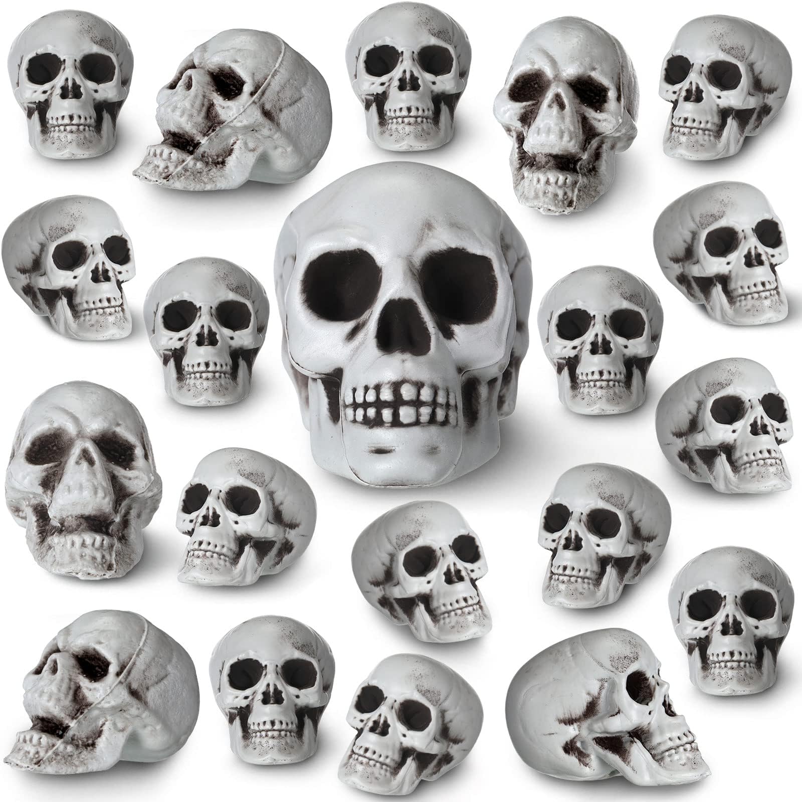 Aoriher 20 Pieces Halloween Skull Plastic Realistic Looking Skeleton Skull Human Skeleton Head Fake Decor Miniatures for Crafts Halloween Decorations for Home Table Bar Decor, 3 Sizes(Medium)