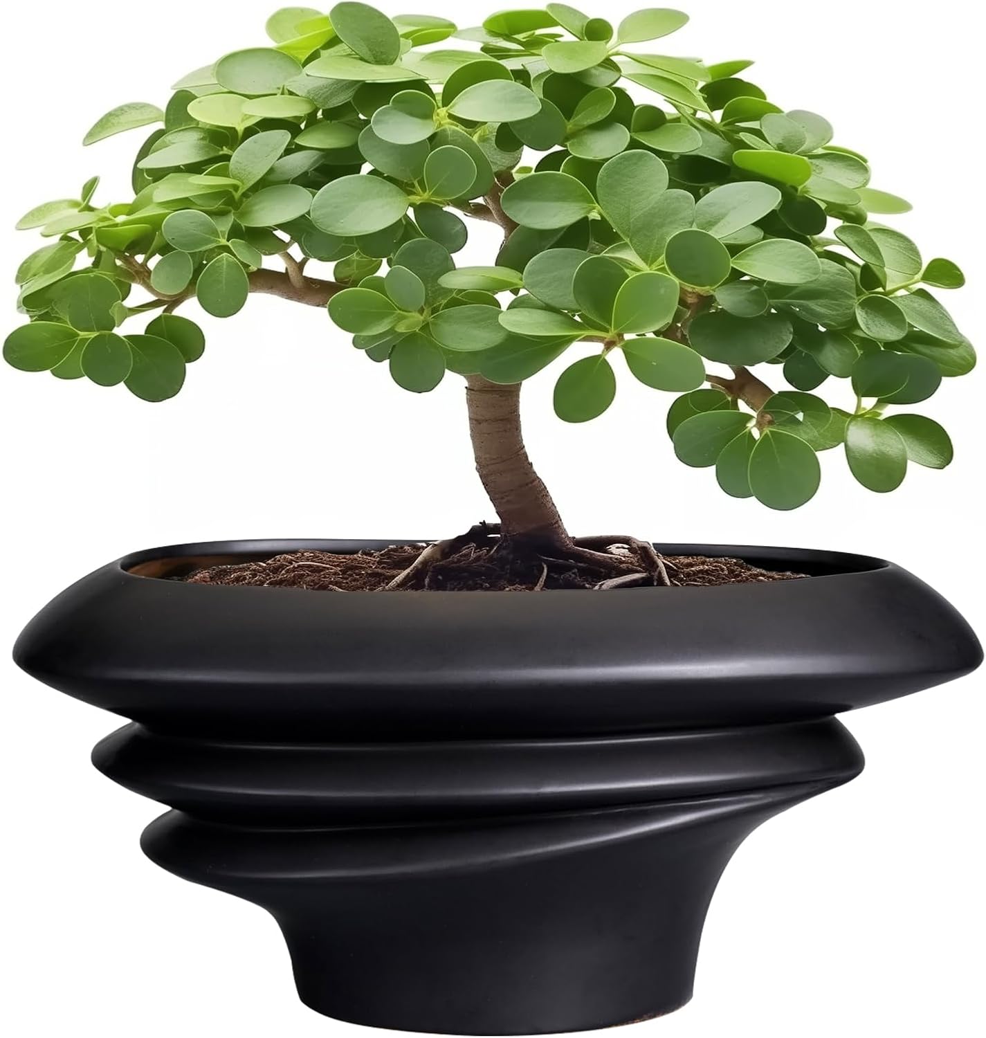 SQOWL Bonsai Pot 10 Inch - Ceramic Succulent Planter with Drainage Hole Large Plant Pot for Indoor Plants Outdoor Modern Home Decor Black