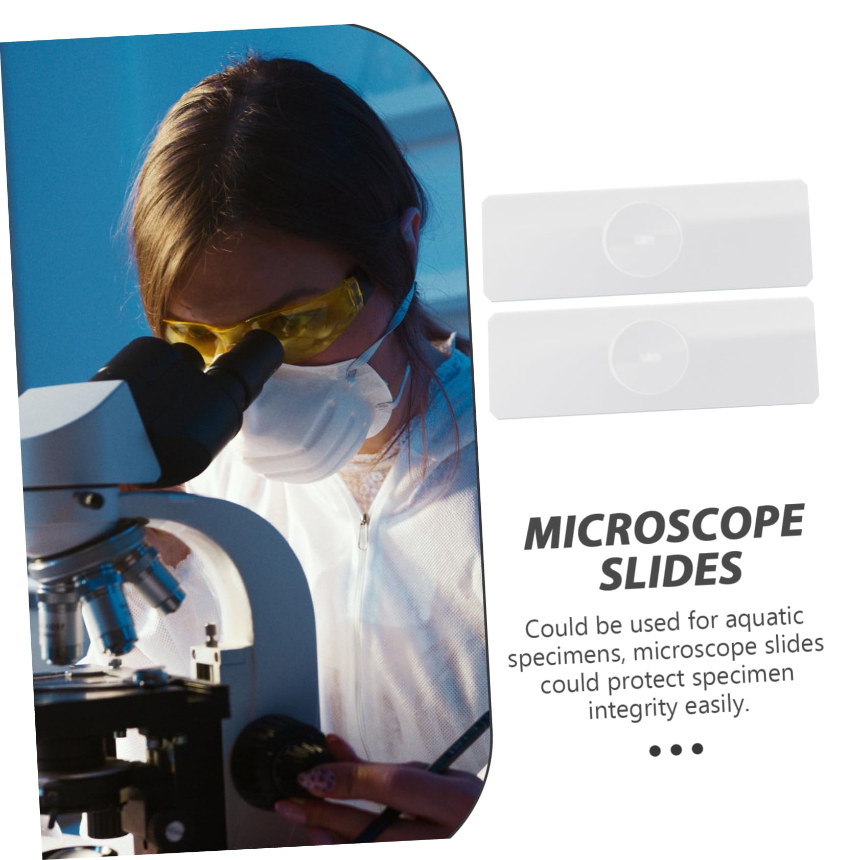 MUCKLILY 50 Pcs Glass Microscope Slides for Laboratory Microscope Slides for Specimens Slides for Microscope Glass Microscope Slides for Aquatic Specimens Glass