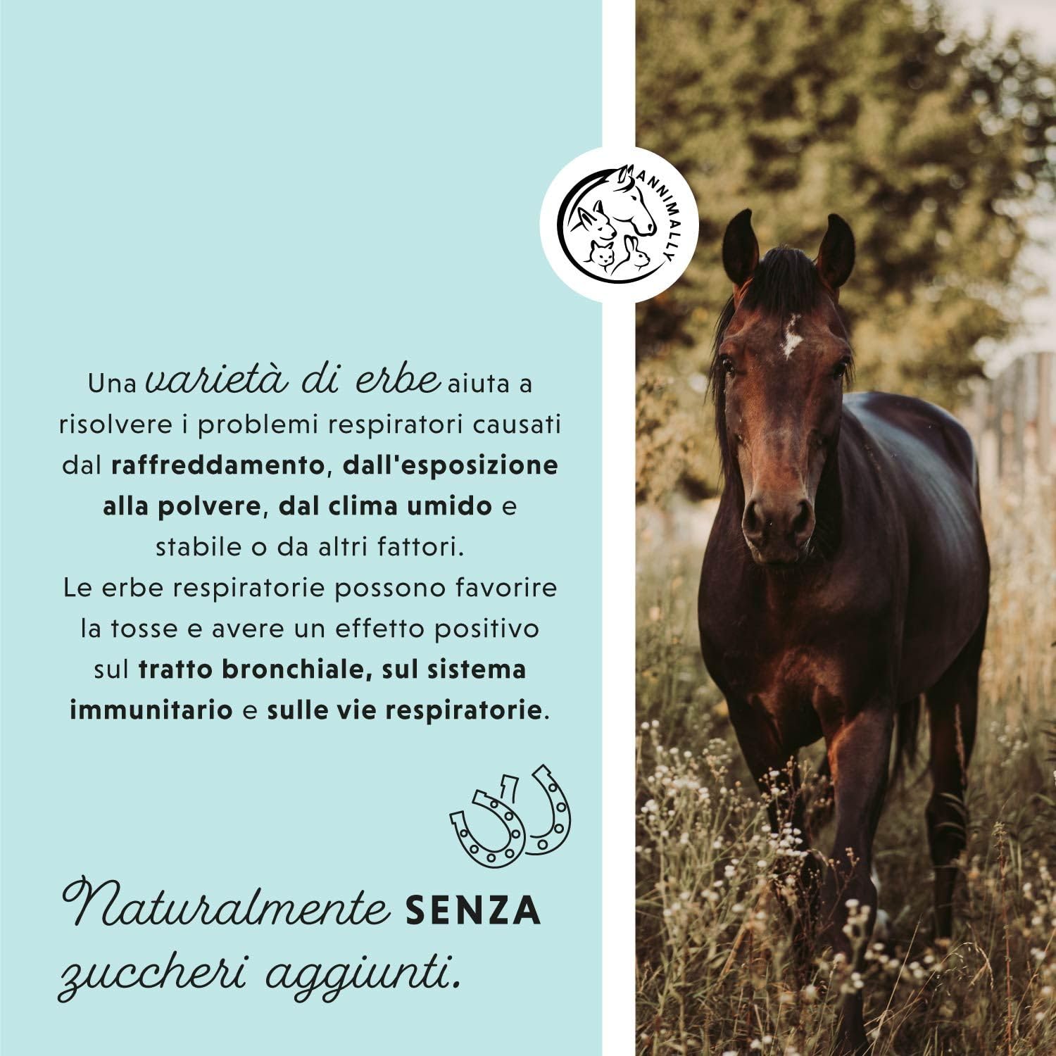 Annimally Sciroppo tosse secca Adulti per Cavalli 1000ml - Sciroppo bronchiale per Cavalli - Contro la tosse e per calmare Le Vie respiratorie - Sciroppo per la Gola - Integratori per Cavalli