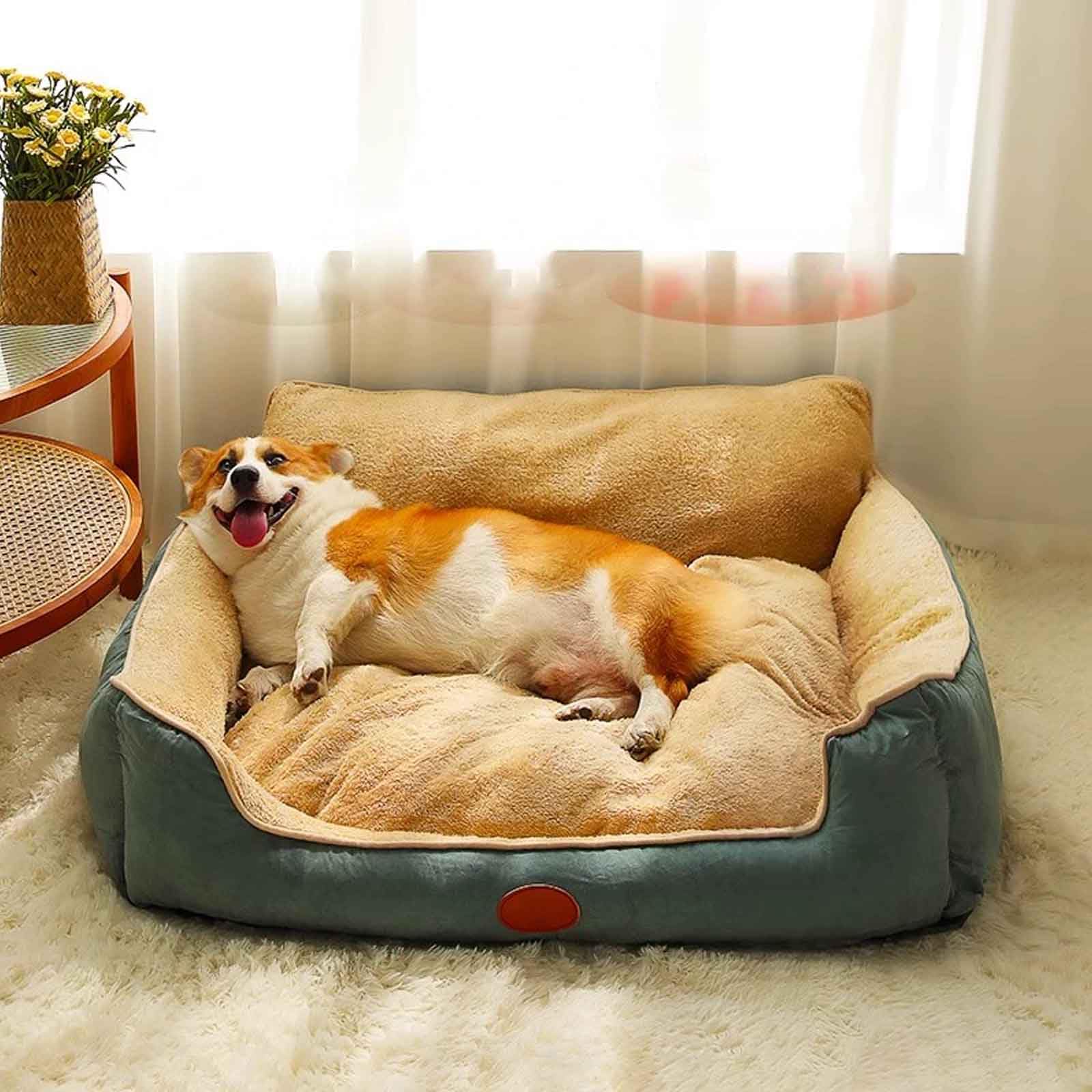 Cuccia Cane Interno, Cuccia Cane Soffice, Letto per Gatti con Fondo Antiscivolo, Copertura Sfoderabile per Lavaggio, per Animale Domestico Piccola Media,M