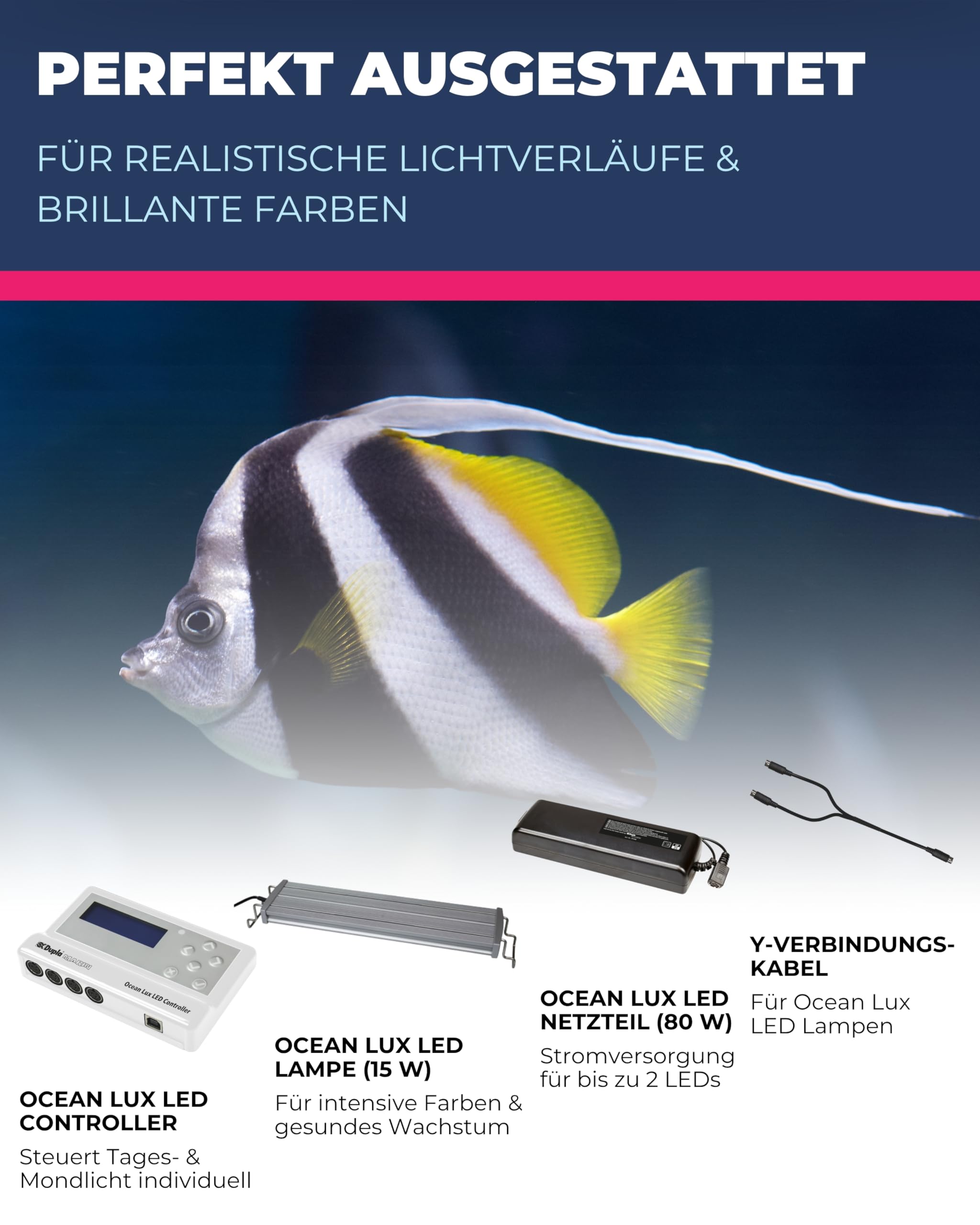 Dupla Marin Ocean Lux LED Controller I Programmierbare Lichtsteuerung für Meerwasseraquarien I Tageslicht- & Mondphasen-Simulation im Aquarium I 2-Kanal-Steuerung I 24 V Sicherheitsspannung