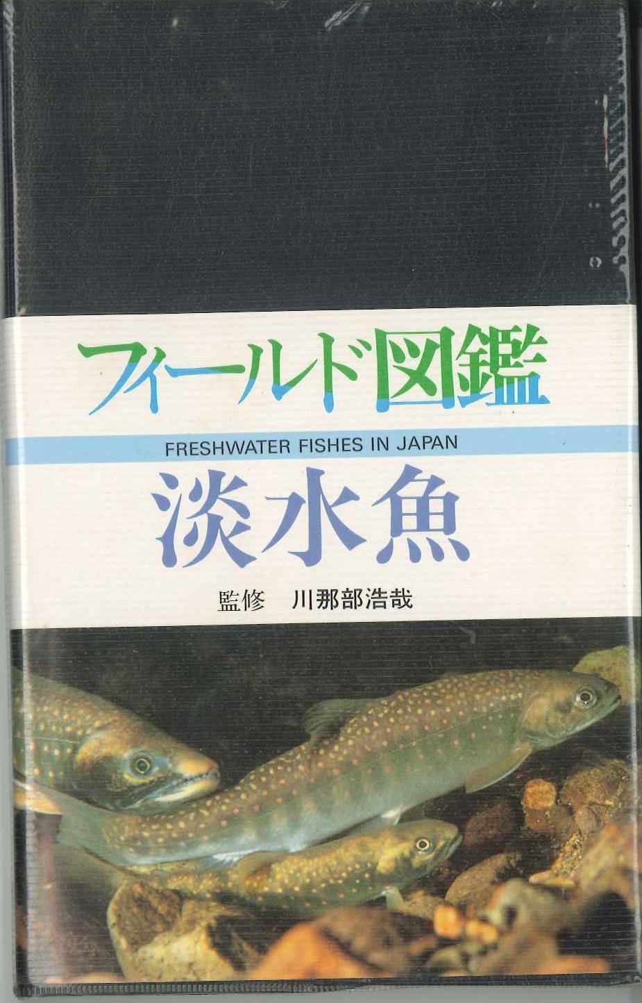 淡水魚 (フィールド図鑑) | 林 公義 |本 | 通販 | Amazon