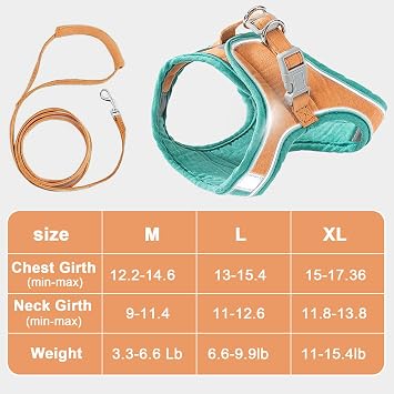 Cat Harness and Leash, Cat Harness Escape Proof, Soft Adjustable Cat Leash Breathable Comfortable Vest Easy to Wear, Easy Walk Leash for Small Medium Cats Kittens for Indoor Outdoor (Blue, L)