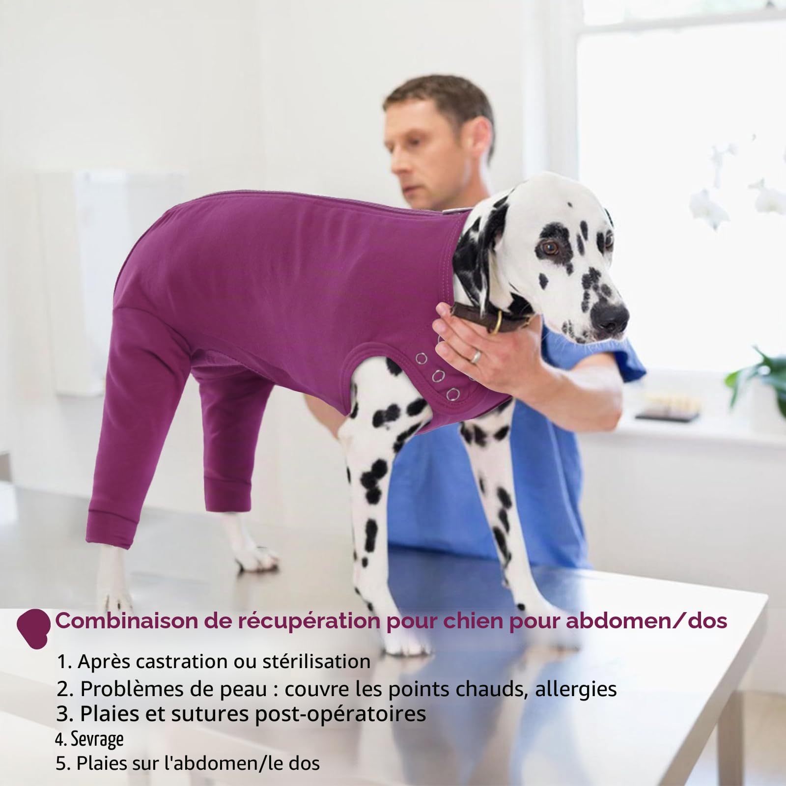 Combinaison De Récupération pour Chien, Body Post Operatoire Male Combinaison de Convalescence pour Chiens Protection Patte Anti Lechage(Violet-Rouge, L)