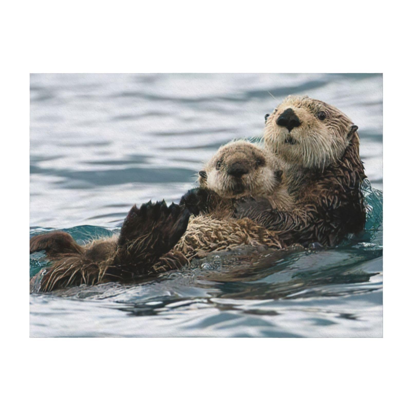 Couverture de lit microfibre motif loutre plaid léger confortable EdWal