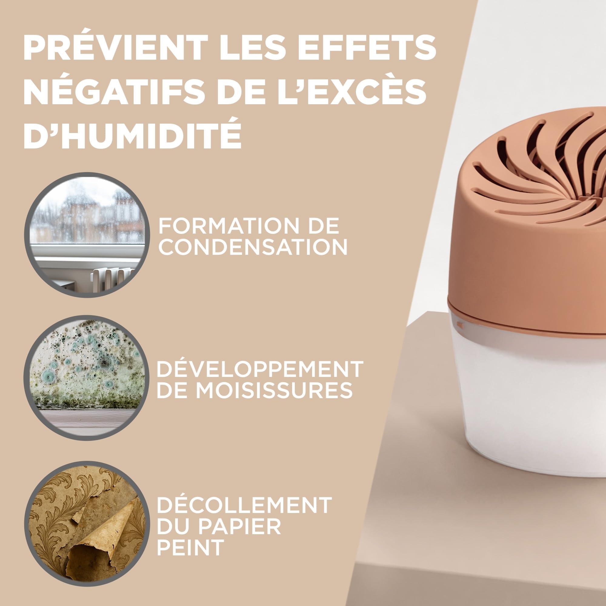 Rubson - Absorbeur d'Humidité Aero 360° Couleur Pêche (1 appareil + 1 recharge de 450 g) - Absorbeur anti-humidité pour pièce jusqu'à 20 m² - Déshumidificateur d'air anti-odeur et anti-moisissure