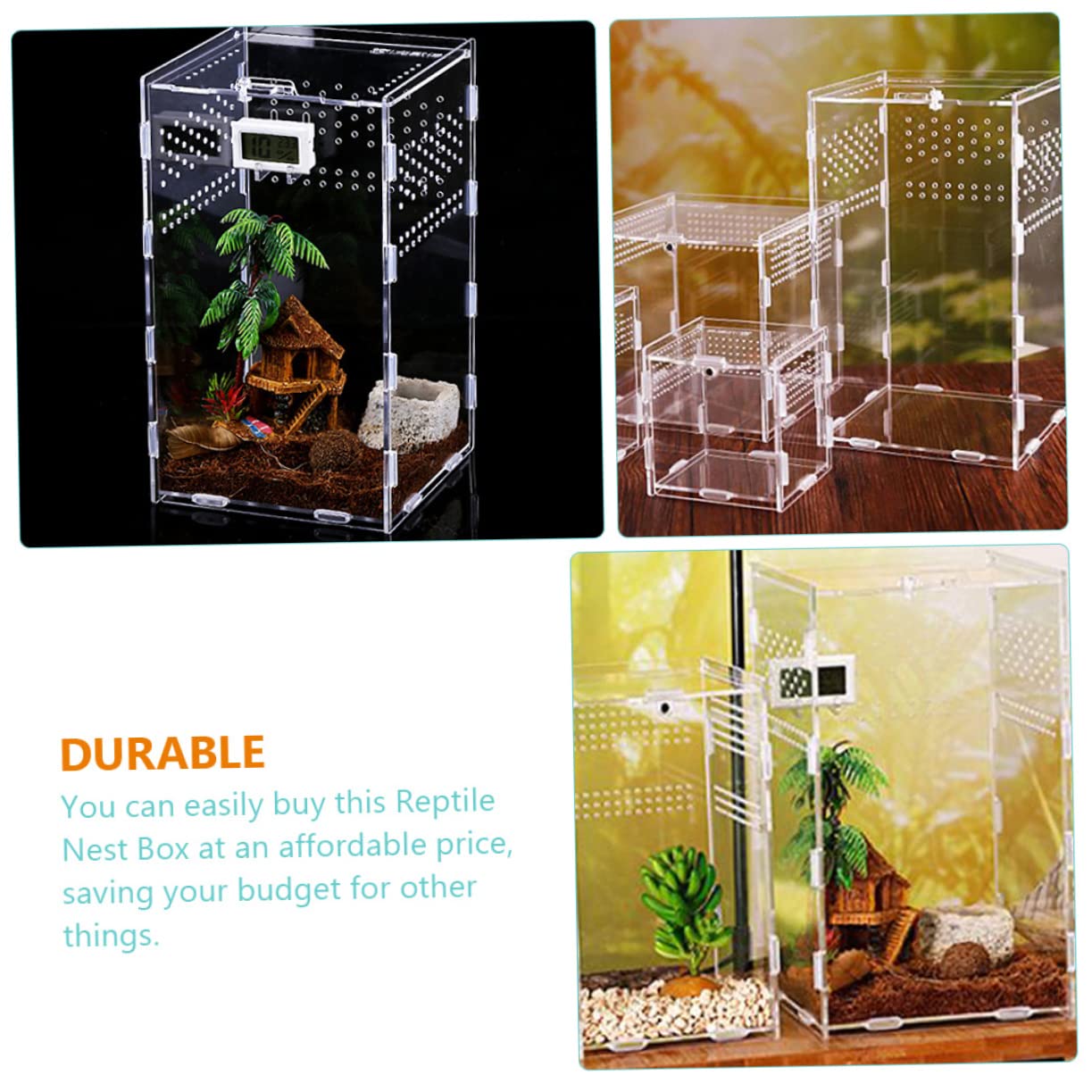 BESPORTBLE Scatole Trasparenti per Rettili in Acrilico Custodie Magnetiche Ventilazione Adatte per Habitat Lucertole Ragni Gechi e Altri Rettili Domestici