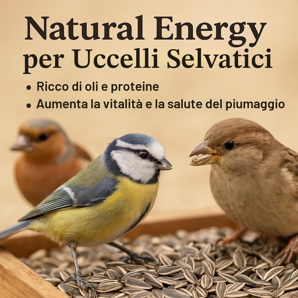 GiDeli Semi Di Girasole A Righe, 25 Kg, Mangime Per Uccelli Selvatici E Domestici, Per Tutto L'Anno, Invernale, Per Cinciette, Fringuelli, Passeri, Ricchi Di Olio