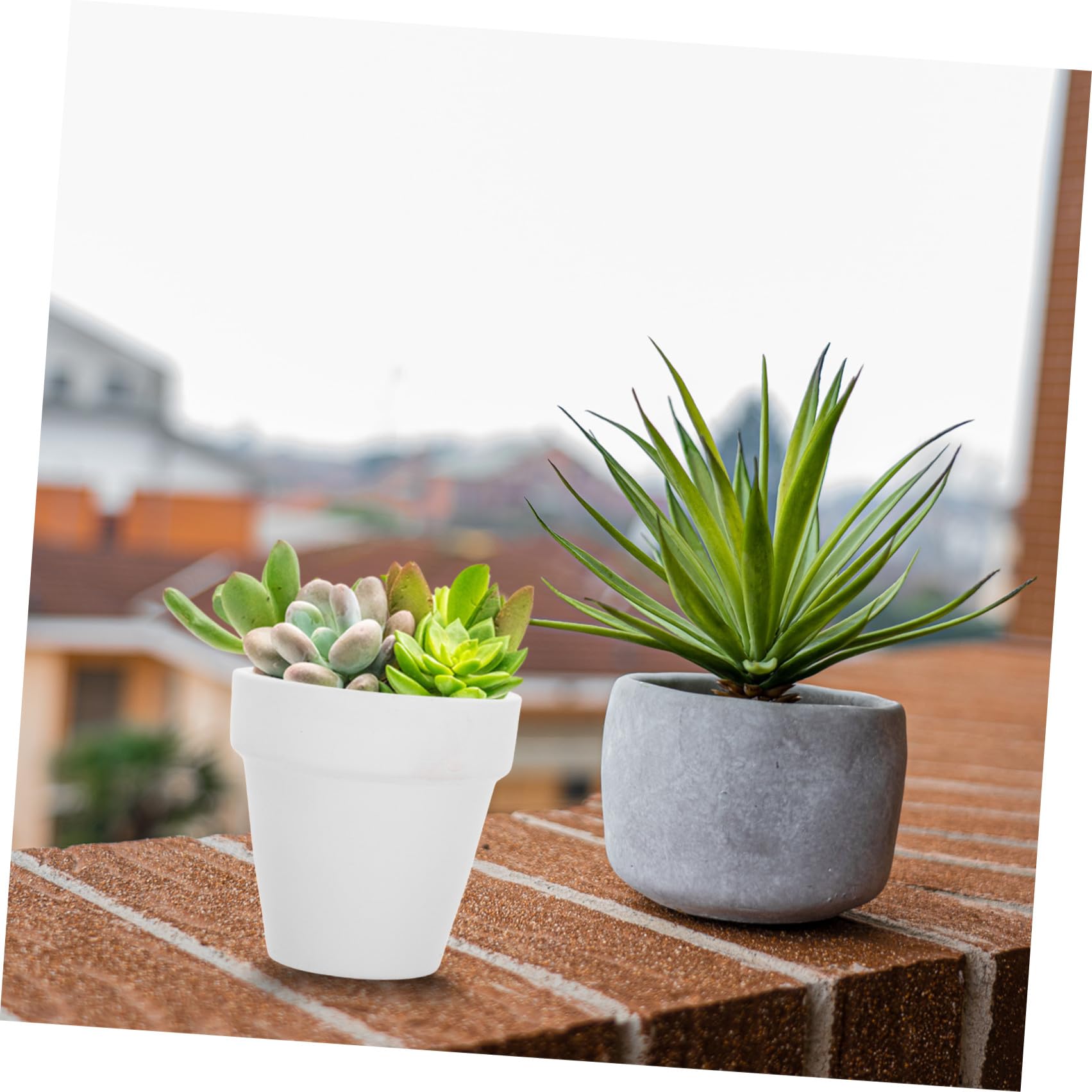 BESPORTBLE Set 20 Vasi in Terracotta Piccoli di Drenaggio per Piante Succulente e Decorazione Casa