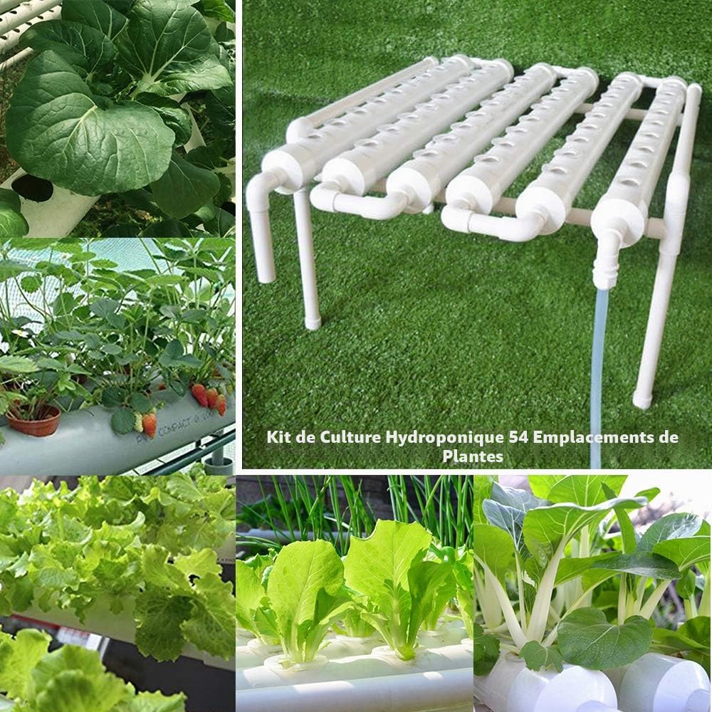 Système de culture hydroponique, tubes en PVC-U de qualité alimentaire, kit de système de jardinage avec circulation d'eau pour légumes à feuilles (1 couche, 54 trous)