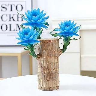 Brazilian Wood Plants,with Base and Mystery Doll Decorations, Easy to Plant in The Home Office to attracts Wealth,Lucky Wood Plant,Home Decoration