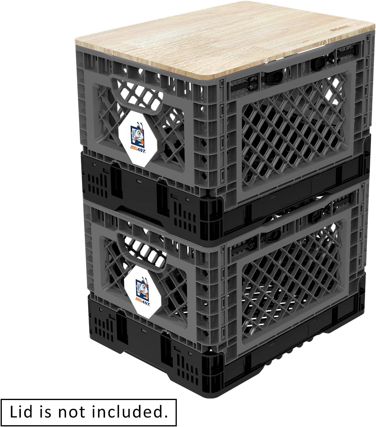 BIG ANT Collapsible Smart Crate 6-Gal 132-Lb Cap 11 5/8inLx15 9/16inWx10 1/4inH image 5