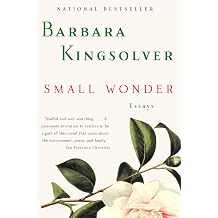 Small Wonder Essays