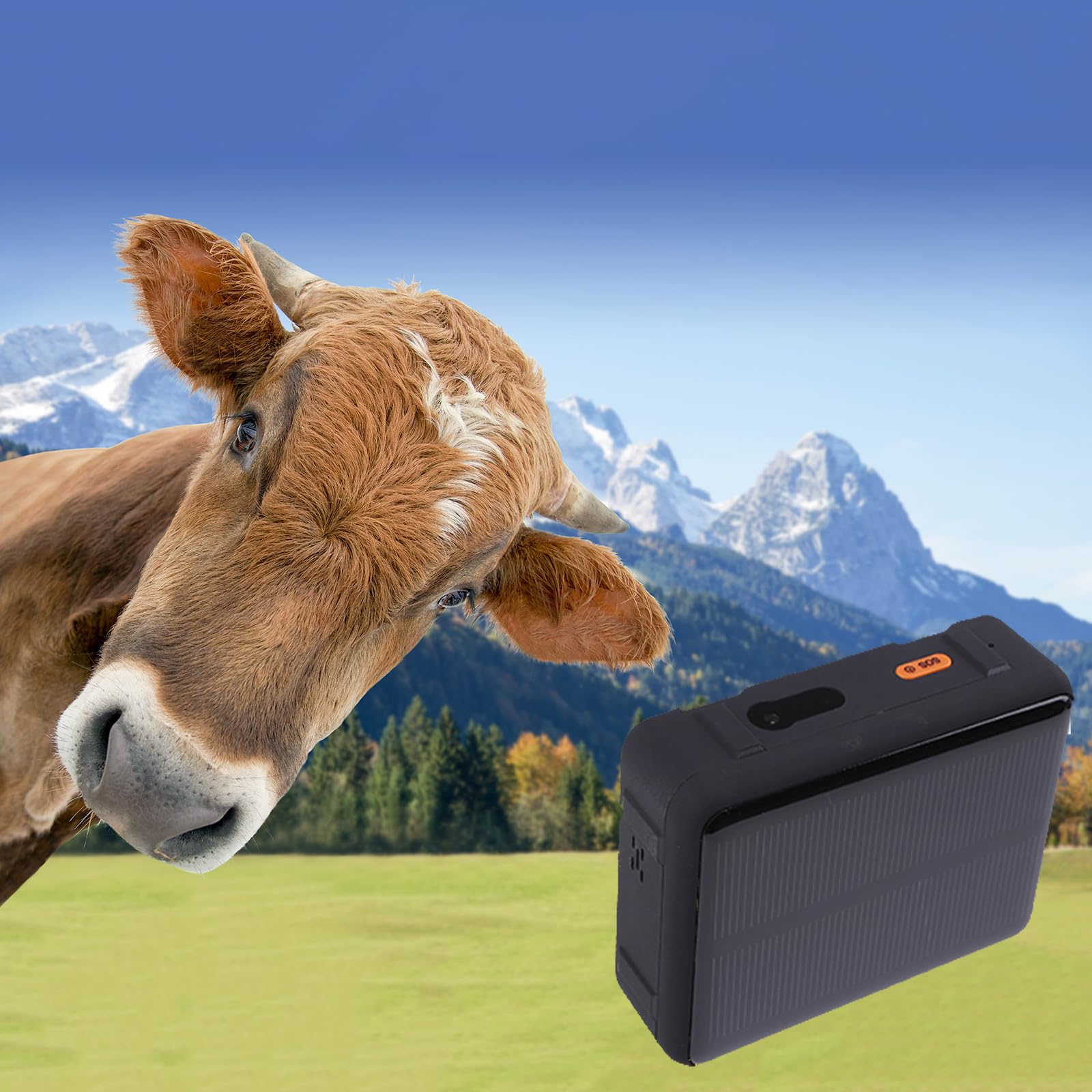 Tracker GPS per animali a energia solare con posizionamento in tempo reale, monitoraggio cronologia 90 giorni e allarme remoto per la gestione del bestiame