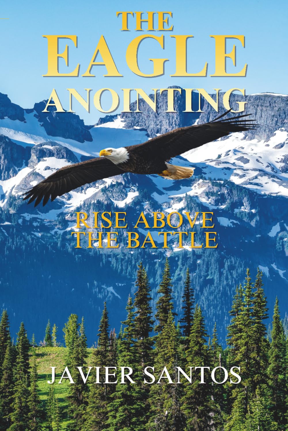 The Eagle Anointing: Rise Above the Battle