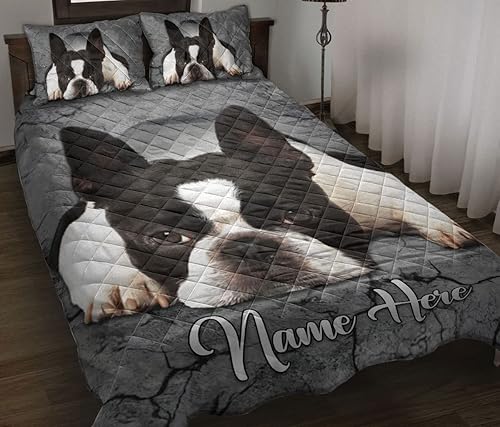 OhaPrints Manta y fundas de almohada personalizadas con nombre personalizado de Boston Terrier Dog Crack Gray Sliver - Juego de ropa de cama y funda