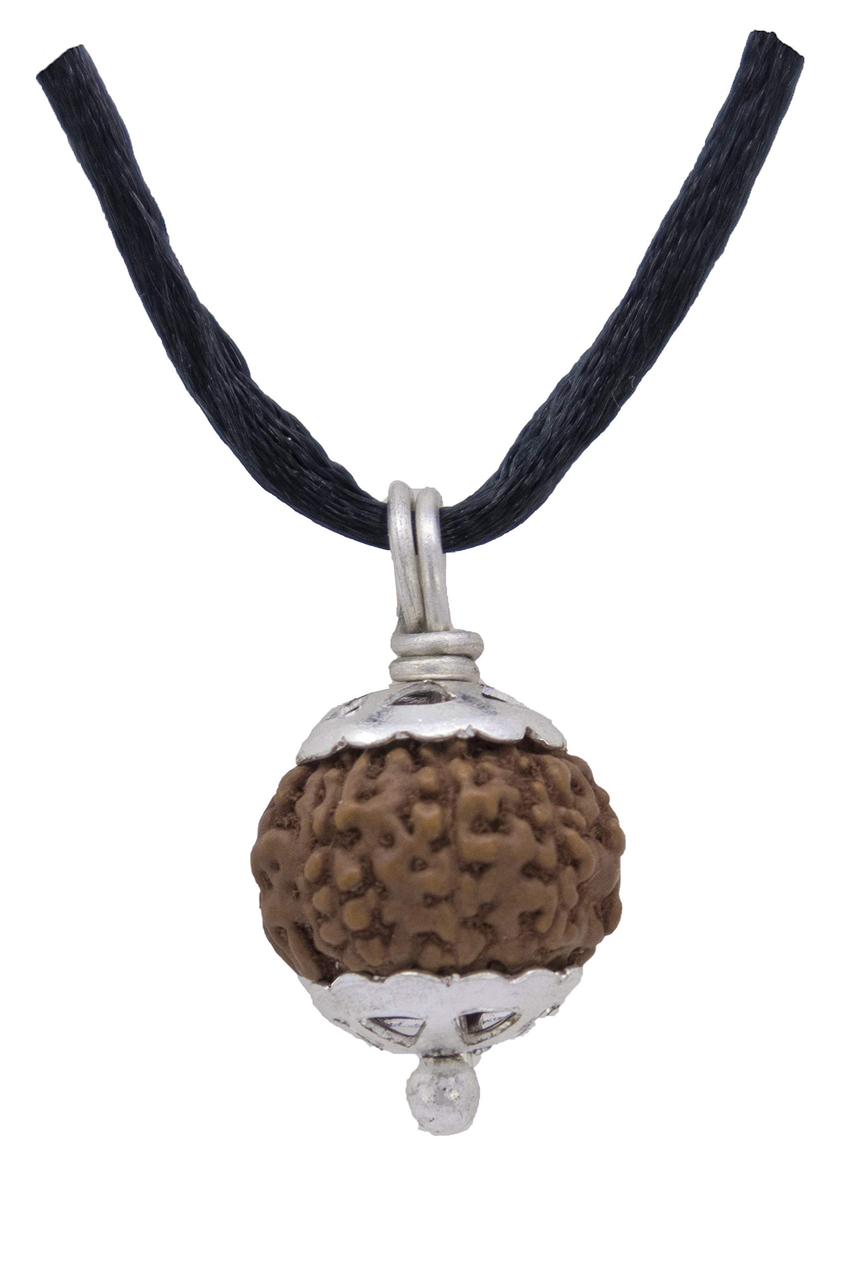SHIVALOKA 10 Mukhi Rudraksha Original Silver Plated Pendant | 15.00-18.00 mm size | Ten Face Indonesia Origin | For Men and Women