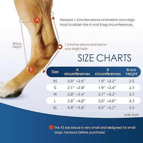 Miniatura 3 de Soporte ajustable para patas traseras de perro, soporte de horquilla y tobillo para perros mayores, recuperación de lesiones de ligamentos ACL