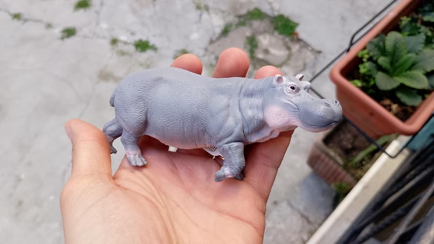 Schleich Wild Life Hippopotame 14938 – Figurine Réaliste Détaillée – Collection Zoo Pour Enfants Dès 3 Ans