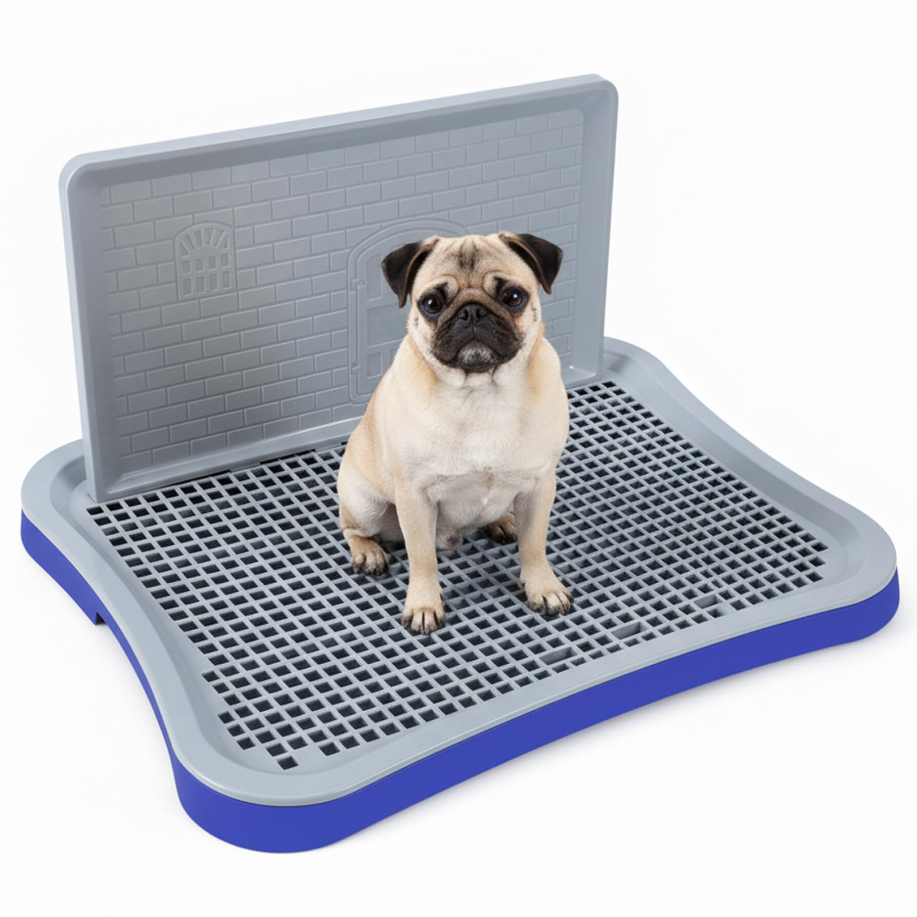 Toilette per cani, Vasino per cani da interno con pareti alte Porta pipì in rete rimovibile, Vasino per cuccioli e di piccola taglia, Blu
