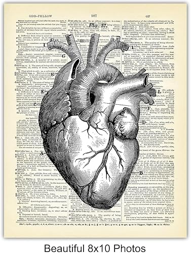Miniatura 5 de Corazón, pulmones, cerebro, órganos de anatomía intestinal Diccionario reciclado, impresiones artísticas de pared para clínica médica, oficina,