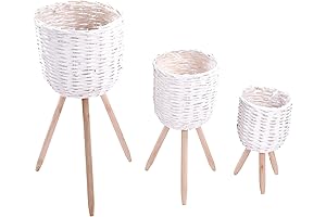 Raise the Roots: Hallops Rattan Planter with Legs - A Stand-Out Addition...