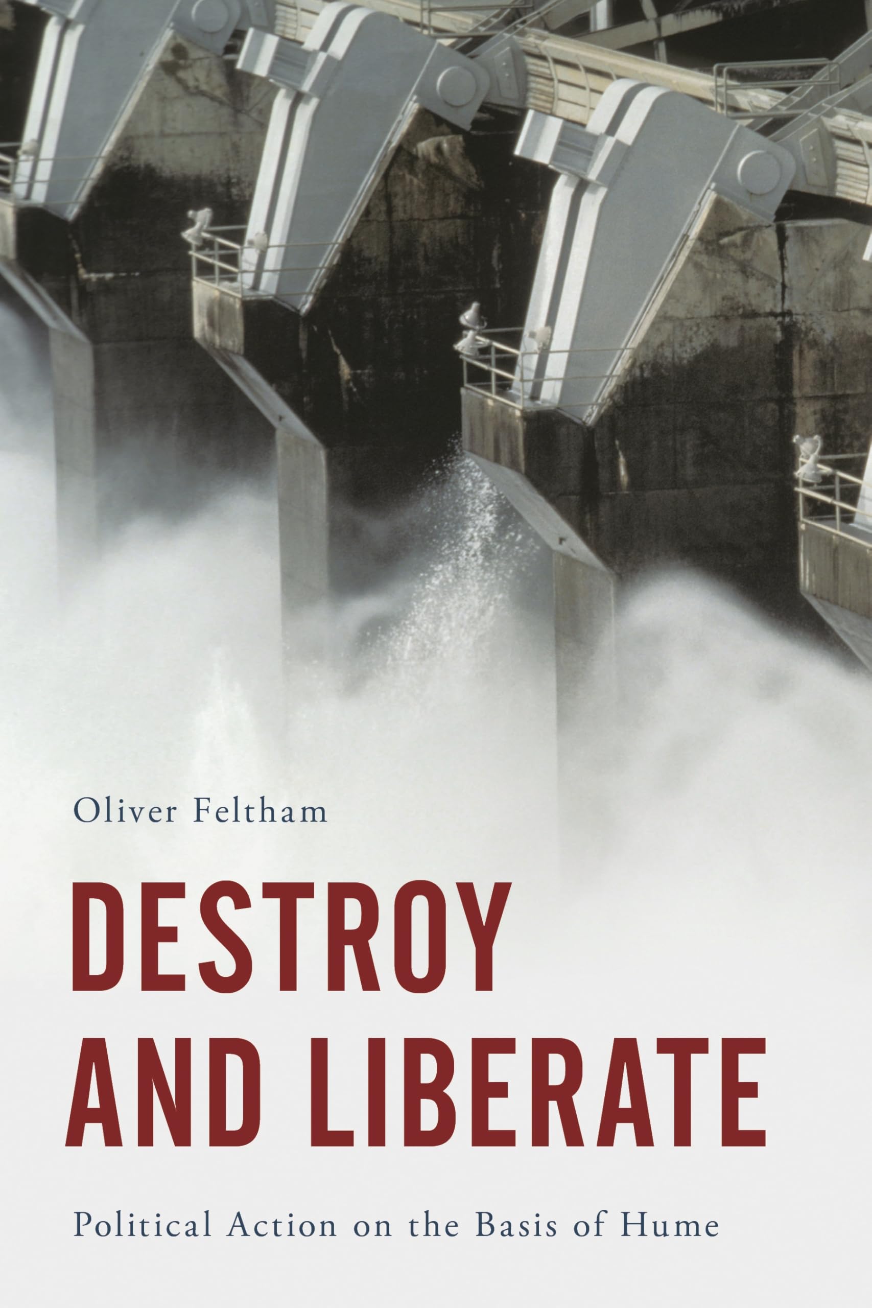 Buy Destroy and Liberate: Political Action on the Basis of Hume — BookShops.in