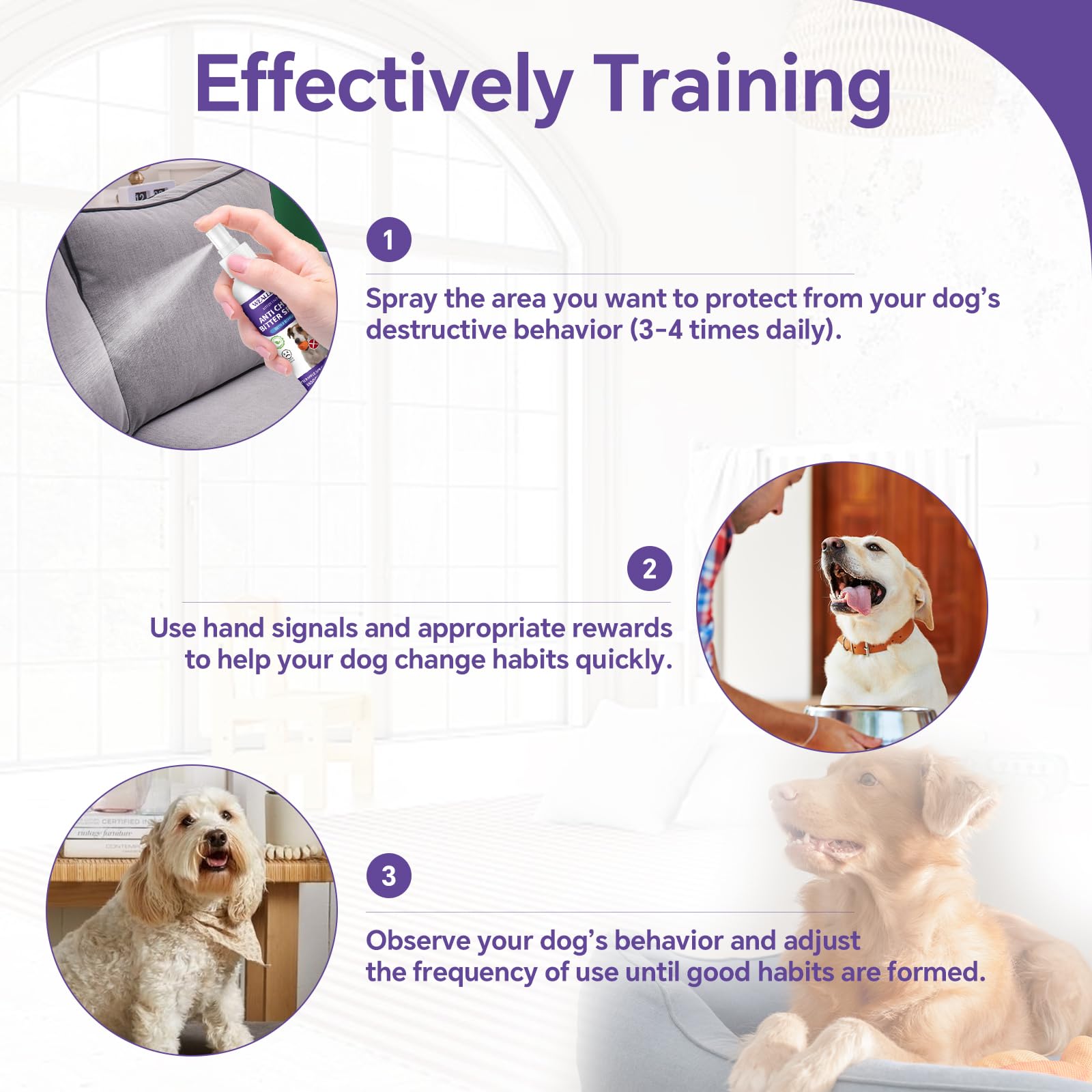 WEALLIN Spray Repellente per Cani, 200ml Repellente per Cani, Spray Anti-Masticatore, Spray Amaro per Cani per Mobili & Giardino, Sicuro per Uso Interno ed Esterno