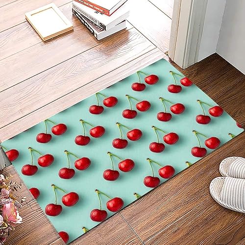 Tapete de puerta para decoración de dormitorio, tapetes de piso de cerezo, alfombras de vacaciones para sala de estar, alfombras de baño absorbentes