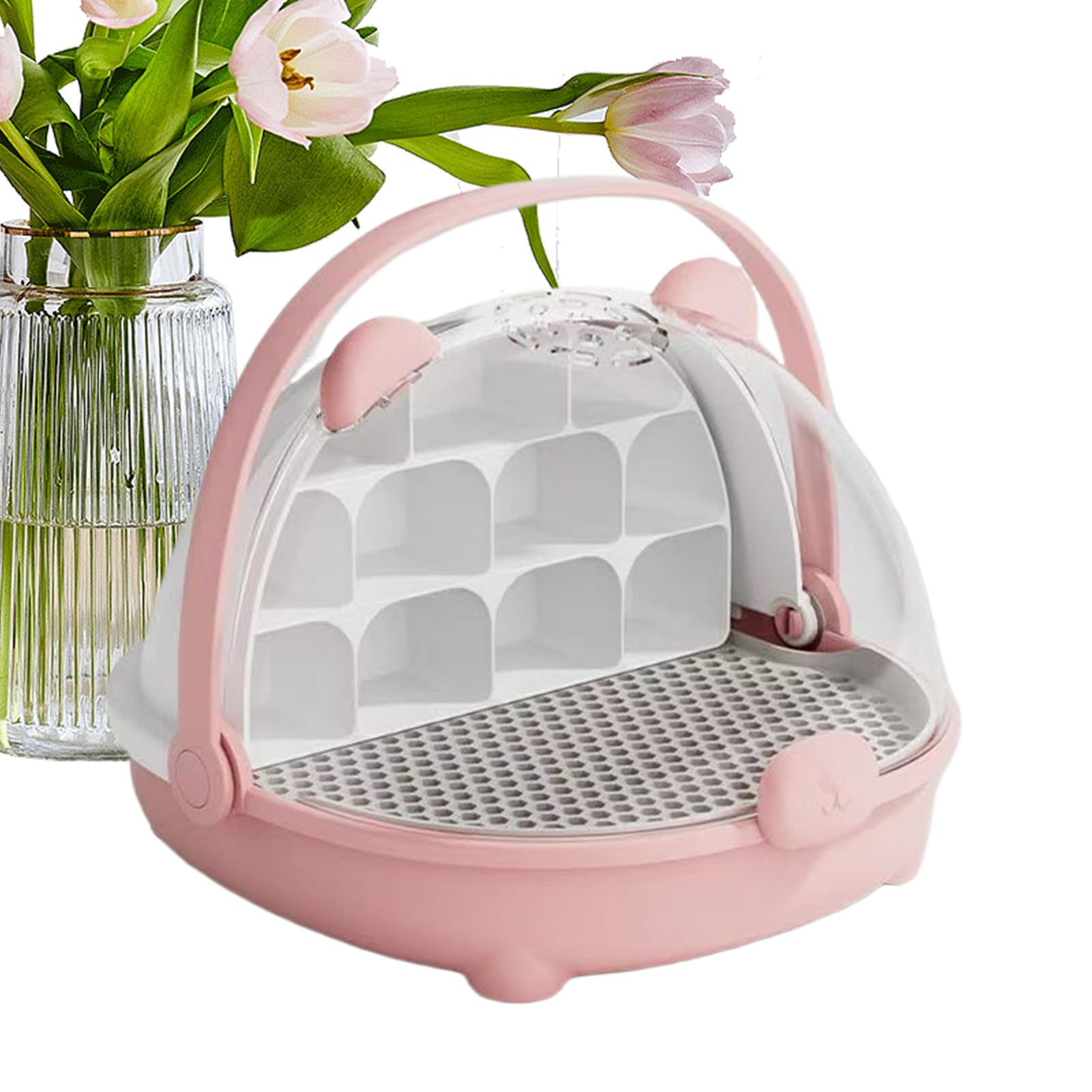 Observe la maison cage pour reptile transparente pour sorties et voyages
