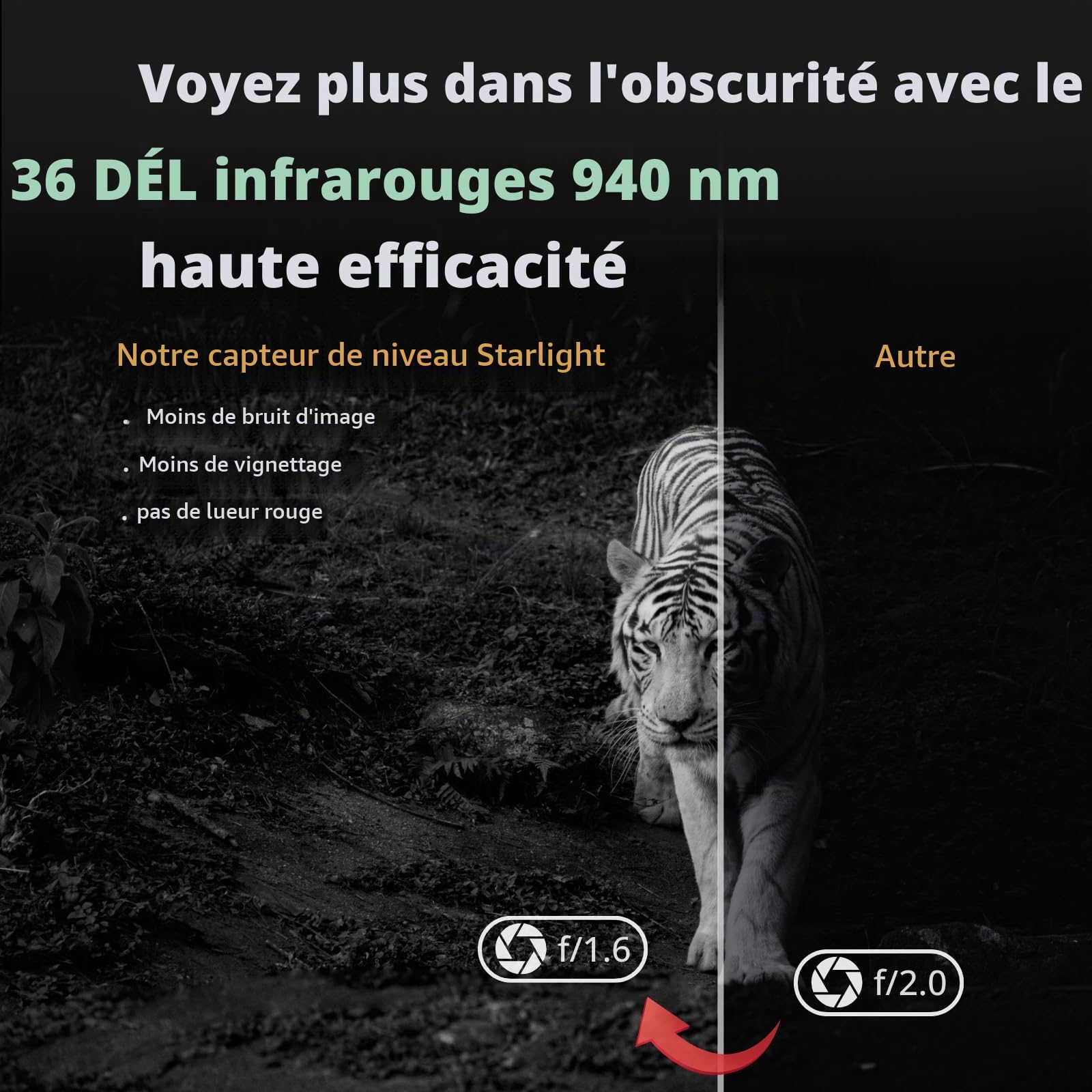 BlazeVideo Caméra Proie Caméra Sauvage 24MP 1296P, Caméra Sauvage Numérique avec Détecteur de Mouvement et Vision Nocturne, IP66 Étanche Écran 2,4"